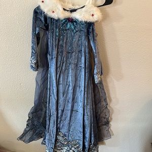 Blue Princess Dress with gloves & Elsa hair